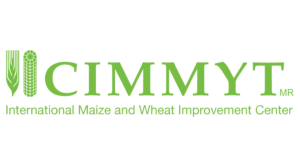 cimmyt-logo